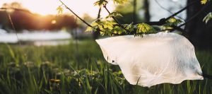 Plastic Bag Bans and Beyond